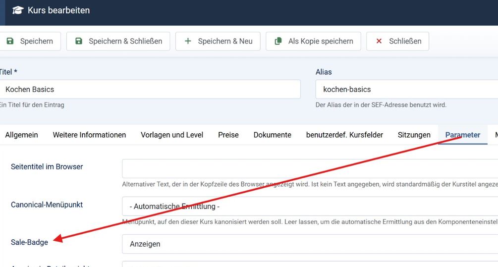 sale Icon zurueck
